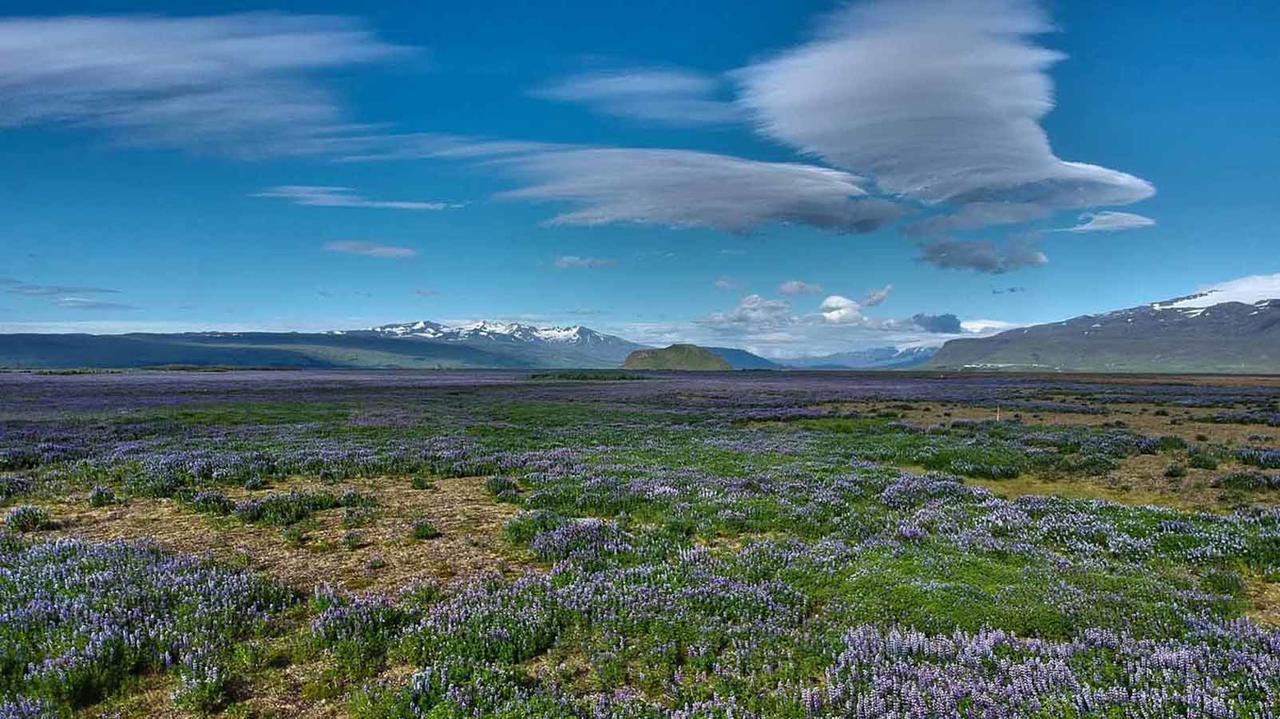 Hotel Selja Hvolsvöllur Eksteriør billede